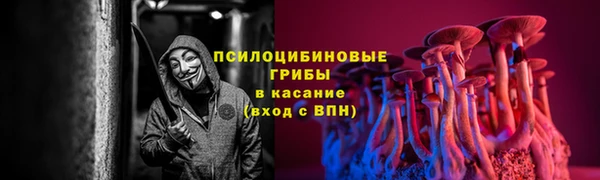 а пвп мука Ростов