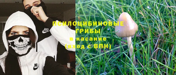 прущие крисы Рославль