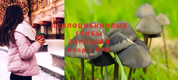 прущие крисы Рославль