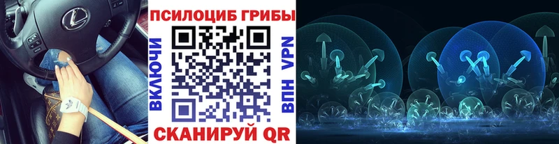 Псилоцибиновые грибы GOLDEN TEACHER Купить Фатеж