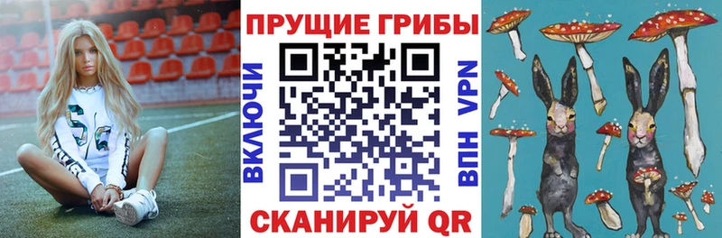 Псилоцибиновые грибы прущие грибы Фатеж